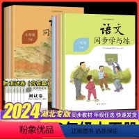 七下同步学与练 小学通用 [正版]2024版语文同步学与练三小学初中3四4五5六6七7八8九9年级下册语文同步课堂作业练