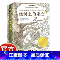 [新蕾国际大奖]橡树上的逃亡 [正版]国际大奖小说系列新蕾出版社爱上读书的妖怪苹果树上的外婆坡亲爱的汉修先生适合三四