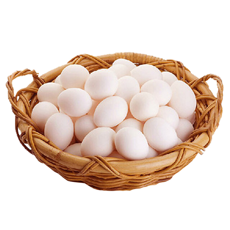 信鸽蛋 参数规格