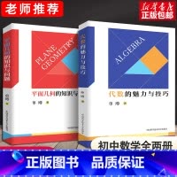 [正版]中科大初中数学代数的魅力与技巧+平面几何的知识与问题 单墫 初一初二初三初中数学解题规律方法与技巧789年级20