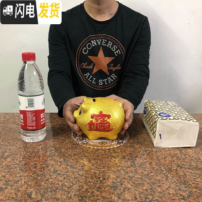 三维工匠储钱罐儿童大人用家用储蓄罐女生可爱大容量只进不出不可取 [可存可取]6寸(长14厘米)可存储约200个硬币