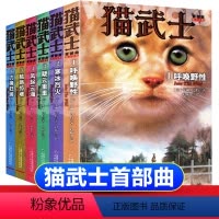 [全套6册]猫武士首部曲 [正版]6册全套猫武士第二部曲关于人生生存勇气的动物智慧故事书籍中小学生四五六七八年级课外书必