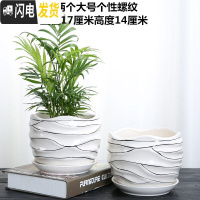 三维工匠花盆陶瓷家用大号塑料创意多肉植物小花盆带托盘批发客厅 两个大号个性螺纹 大花盆容器