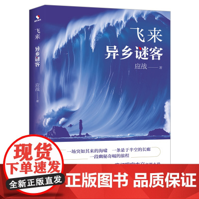 正版 飞来 异乡谜客 应战著 一场突如其来的海啸 一条悬于半空的长廊 两条命运线的交织 中国魔幻现实主义小说科幻小说