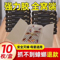 兴洽蟑螂屋