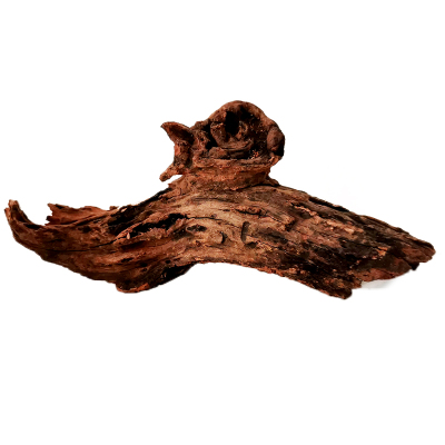 正楷沉木造景木造景树根鱼缸造景水族箱装饰木形状随机造景木S号水族世界沉木S