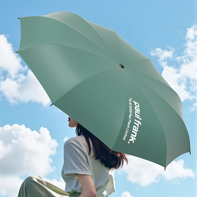 大嘴猴(Paul Frank) 十骨三折雨伞PFU204