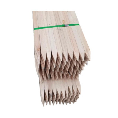 建举 测量木桩 200*7*7cm 根