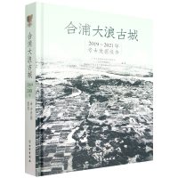 音像合浦大浪古城2019-2021年考古发掘报告