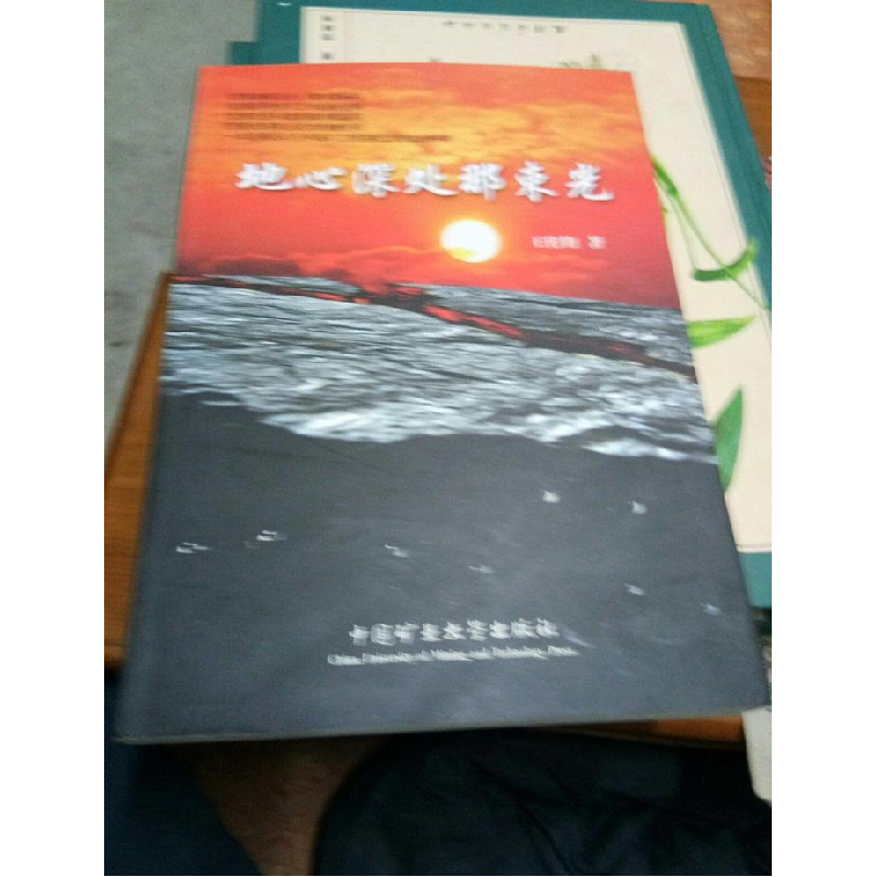 正版新书]地心深处那束光王传钧9787564602390