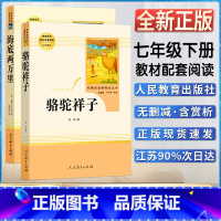 骆驼祥子+海底两万里 [正版]名著阅读课程化丛书初一1七7年级下册共2册海底两万里骆驼祥子人民教育出版社人教统编版语文同
