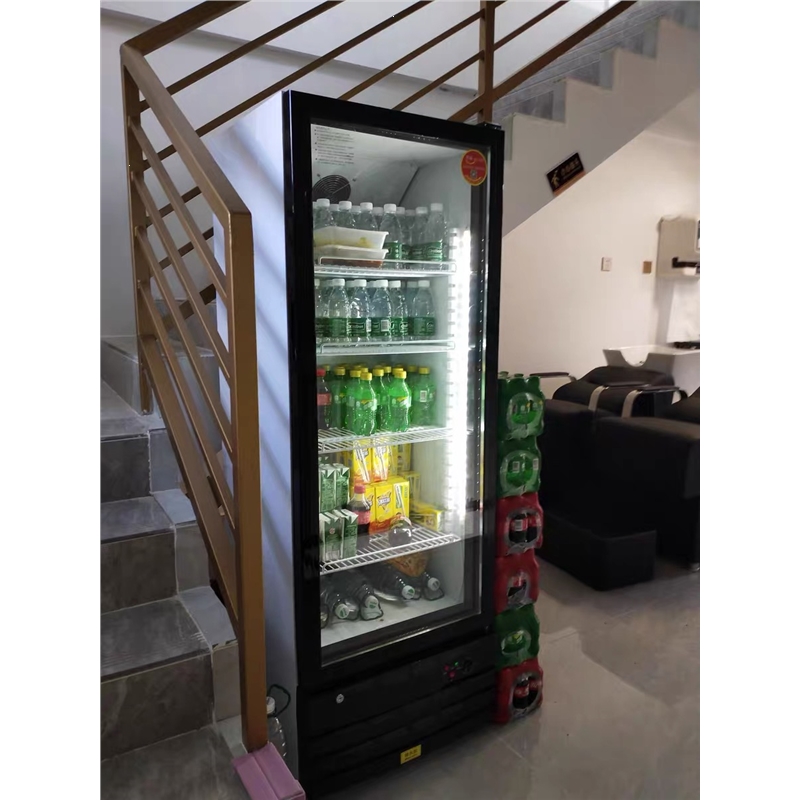 东映之画饮料柜单门啤酒冷藏展示柜节能水果保鲜柜商用立式玻璃门冰箱