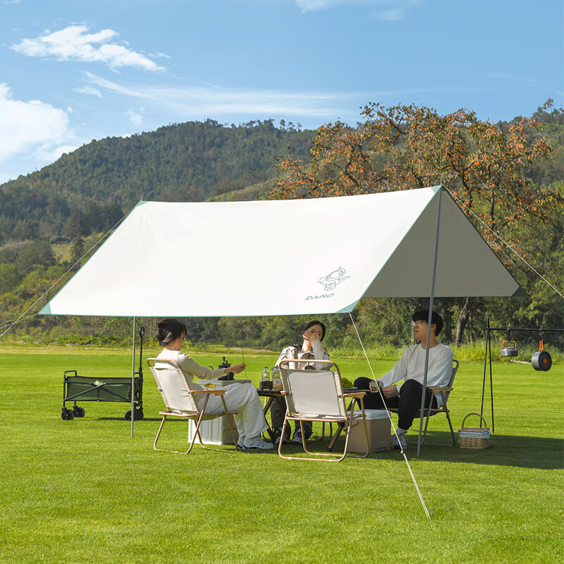 大迈 星际飞越天幕DM-1018