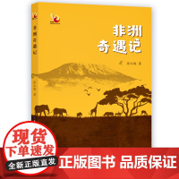 非洲奇遇记金凤凰名家原创儿童小说书安徒生奖提名者全国优秀儿童文学奖得主张之路新作儿童文学故事8-9-10岁四五六年级课外