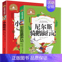 [正版]尼尔斯骑鹅旅行记 小鹿斑比注音彩绘本历险记童话 小学生课外阅读物6-7-8-9-10周岁少儿童书籍书1-2-3三