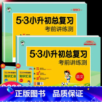 语+数[全套2本] 小学通用 [正版]版53小升初系统总复习资料语文数学英语试卷测试人教版专项训练题六年级下册小学升初中