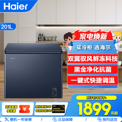 海尔(Haier)201升家用卧式冰柜冷柜小冰箱 巨能冻 黑金净化抗菌 双翼驭风鲜冻科技 BC/BD-201WGHED