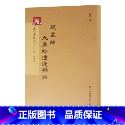 [正版]0减40赵孟頫大乘妙法莲华经 小楷字帖 放大书法字帖历代碑帖 硬笔毛笔硬笔钢笔繁体字书籍