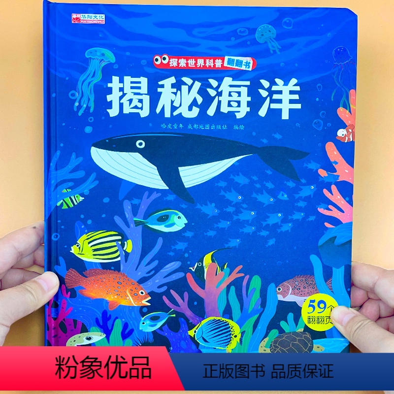 揭秘海洋 单册 [正版]揭秘系列儿童翻翻书我的启蒙3d立体书幼儿情景认知宝宝撕不烂好玩的洞洞书婴儿早教海洋动物古诗词百科