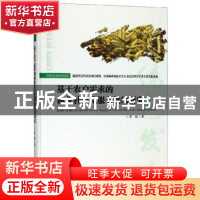 正版 基于农户需求的湖南林业社会化服务供给研究 宋璇 中国矿业