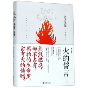 火的誓言(精)