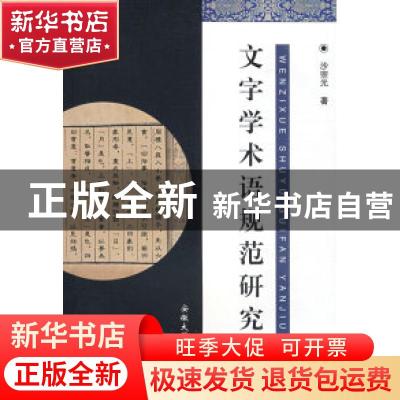 正版 文字学术语规范研究 沙宗元 安徽大学出版社 9787811103939