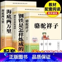 [全3册]骆驼祥子+钢铁是怎样炼成的+海底两万里(赠考点) [正版]骆驼祥子和钢铁是怎样炼成的七年级必读海底两万里原著完