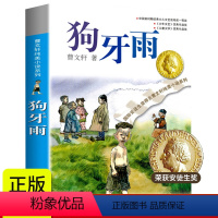 [正版]晨晔网 狗牙雨 曹文轩纯美小说系列 小学生三四五六年级课外书物 青少年8-9-10-12-15岁儿童文学阅读书