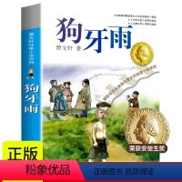 [正版]晨晔网 狗牙雨 曹文轩纯美小说系列 小学生三四五六年级课外书物 青少年8-9-10-12-15岁儿童文学阅读书