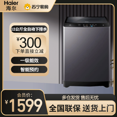 海尔(Haier)波轮洗衣机 12公斤大容量 波轮洗衣机全自动 直驱变频 健康桶自洁 EB120B22Pro2