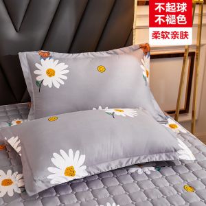 枕套枕头套双人单人学生宿舍枕芯套48x74cm一对拍2