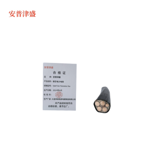 安普津盛 铜芯电力电缆YJV4*10+1*6mm0.6/1kv 米