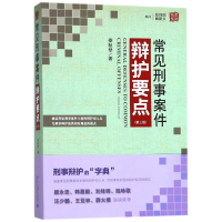 音像常见刑事案件辩护要点(第3版)娄秋琴