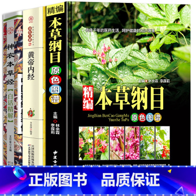 [正版]中医中草药书籍3册 精编本草纲目 中草药彩图大全 黄帝内经神农本草经白话精解中医药经典零基础学医养生调理医药药