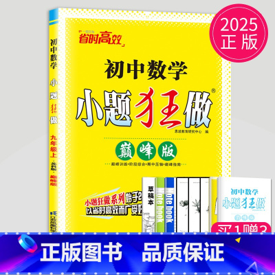 数学 九年级上 [正版]2025初中数学小题狂做巅峰版九年级上册数学九上苏科版SK苏教版中学教辅江苏9年级上数学同步训练