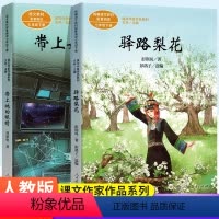 7下[2本套装] 初中通用 [正版]带上她的眼睛驿路梨花七年级下册2本套 八年级下册灯笼 中学生语文书课文配套阅读作家