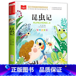 昆虫记 [正版]老师一园青菜成了精注音版绘本一年级必读一园青菜成精了