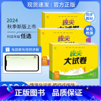 [2本套装]语文+数学人教版 一年级上 [正版]2024秋拔尖大试卷一二三四五六年级上册语文数学英语人教北师苏教外研版拔