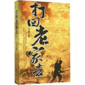 正版新书]打回老家去王霞9787506849234