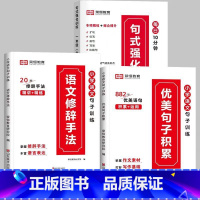 热卖[全3册]句式训练+优美句子+语文修辞 小学四年级 [正版]荣恒 小学语文句式强化训练扩句仿写组词造句照样子写句子强