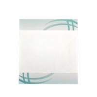 秦泰(Cqint) QTDLBP-01 彩色折纸 160*147mm 20张/包