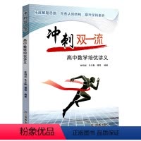 数学培优讲义 高中通用 [正版]2024冲刺双一流高中数学培优讲义高考数学知识点总结专题训练高一1二2三3诊解题方法与技