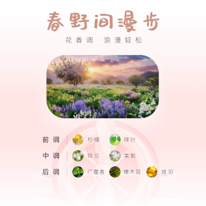 途沁车载香薰WiFi高档车载香氛持久扩香无线上网随身wifi大流量不限速通用香薰