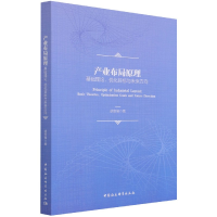 音像产业布局原理(基础理论优化目标与未来方向)胡安俊