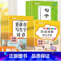 阅读理解强化训练 五年级上 [正版]看拼音写词语句子训练阅读理解小学1-6年级专项训练人教版阅读理解专项训练书拼音拼读练