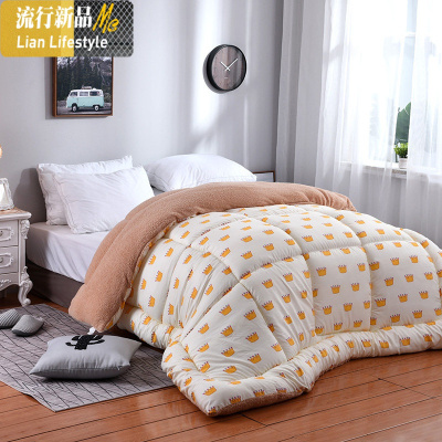 羊羔绒被子加厚保暖冬被芯学生宿舍单人冬天棉被春秋双人四季通用 三维工匠
