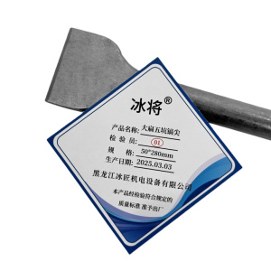 冰将 电锤尖扁凿子大扁五坑镐尖工具 个
