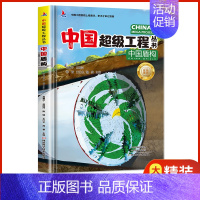 [单册]中国超级工程-中国盾构 [正版]中国超级工程丛书 全8册 工程里的科学奥秘少儿百科全书6-12岁儿童漫画书图书小