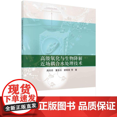 [按需印刷]高级氧化与生物降解近场耦合水处理技术