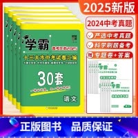 [2025]语+数+英+物+化 套装5本(江苏版) [正版]备考2025新版学霸江苏省13十三大市中考试卷汇编30三十2